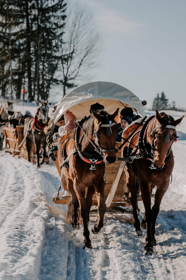 historia kuligów na podhalu